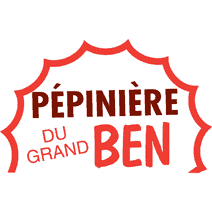 pépinière du Grand BEN